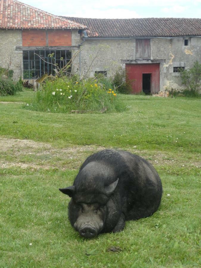 Eco Logis De Chantegrolle Champagne-Mouton Exterior foto